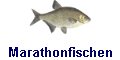 Marathonfischen