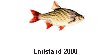 Endstand 2008