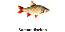 Sommerfischen