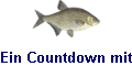 Ein Countdown mit JavaScript